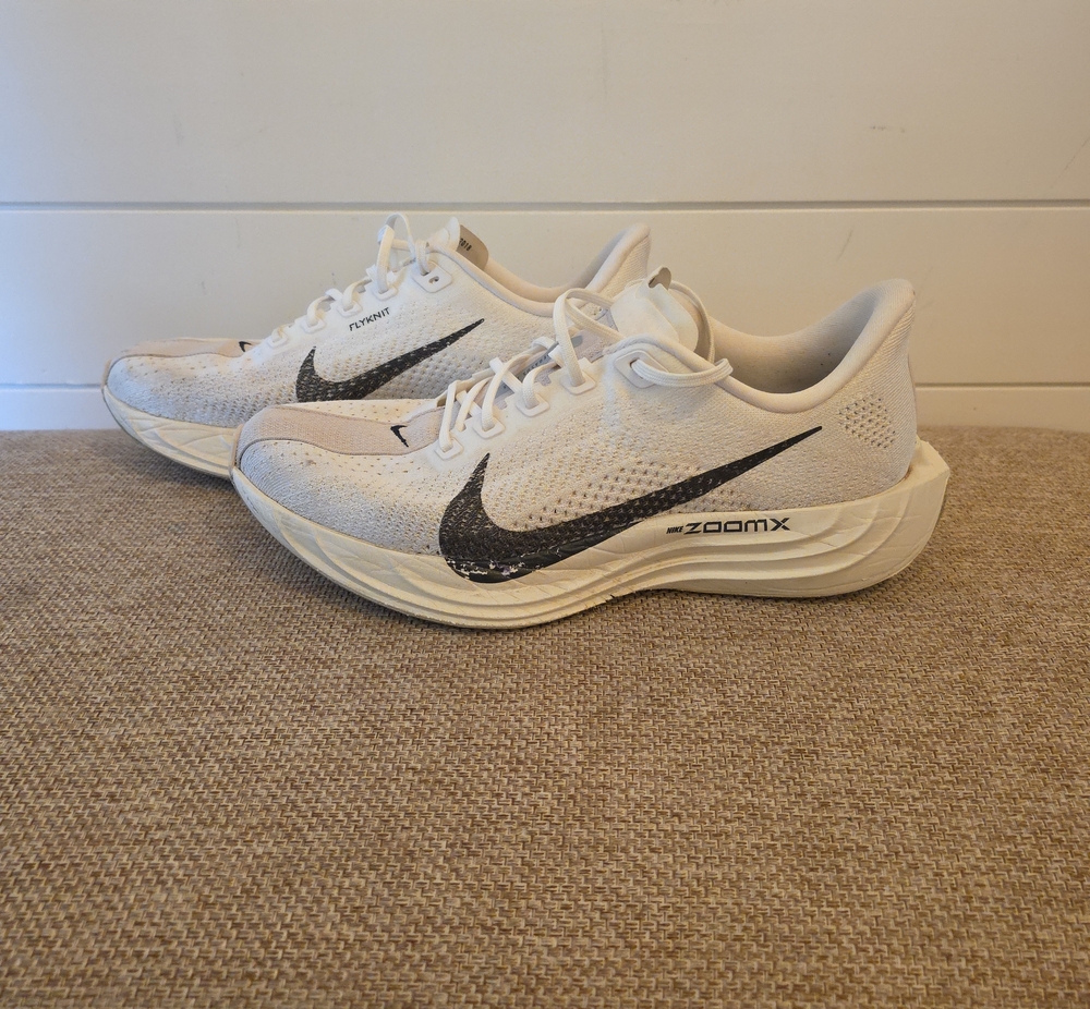 Nike Pegasus Plus